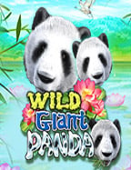 โกงรอยัล คาสิโน ทดลองเล่นสุดฟินกับ CQ9